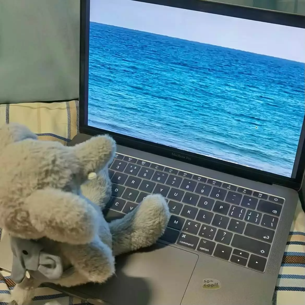 优创API管理系统 - 初始框架构建