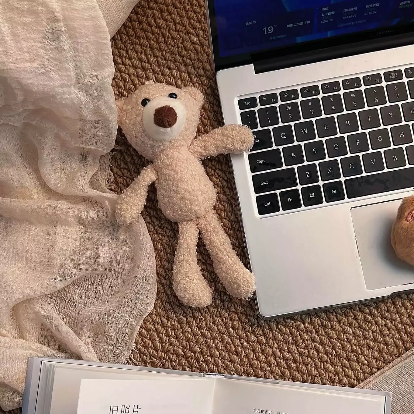 从抗拒到真香：Tailwind CSS（TWCSS）实战复盘与全解析