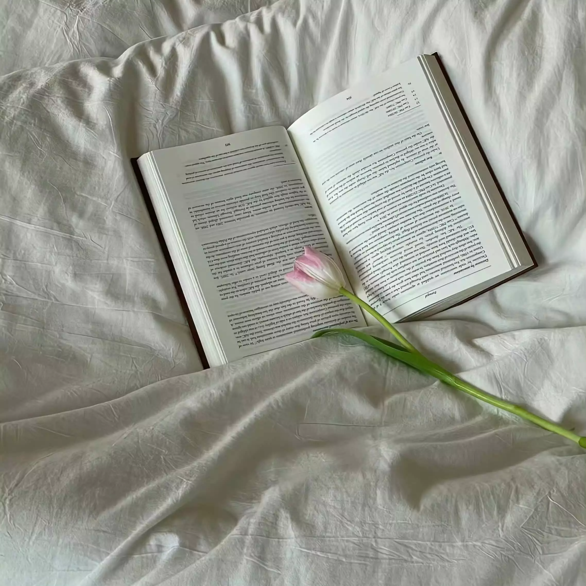 从抗拒到真香：Tailwind CSS（TWCSS）实战复盘与全解析