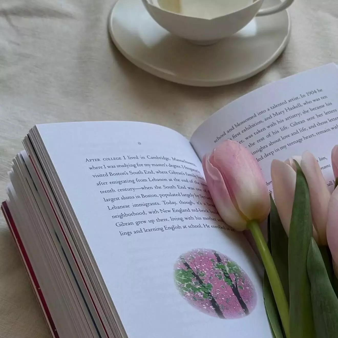 从抗拒到真香：Tailwind CSS（TWCSS）实战复盘与全解析